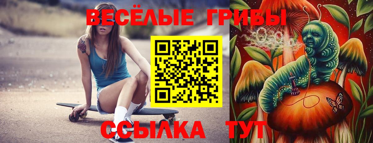 Галлюциногенные грибы GOLDEN TEACHER  Вход с VPN  Людиново  Галлюциногенные грибы Psilocybine cubensis 